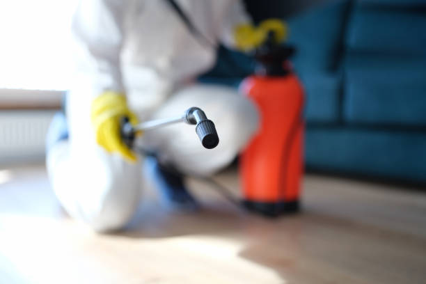 Best Post-Remediation Verification Testing  in Columbia City, OR