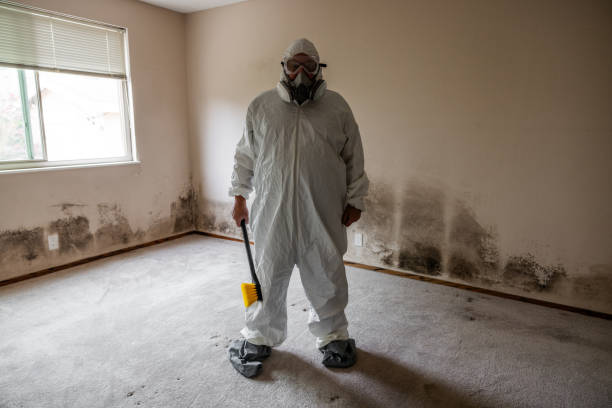 Best Mold Odor Removal Services  in Columbia City, OR